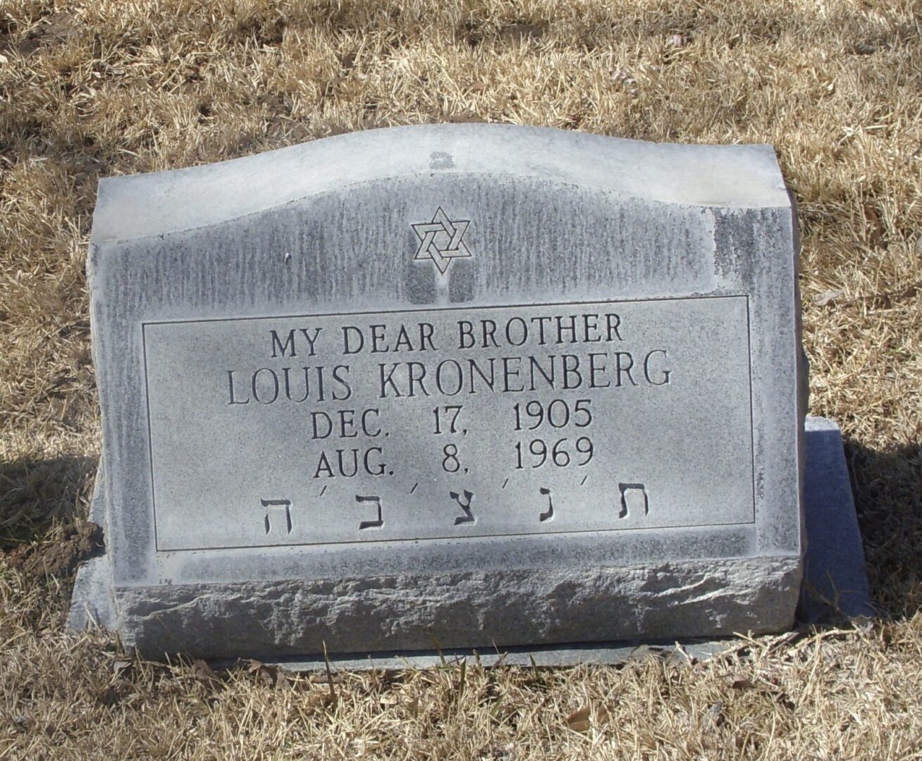 Louis Kronenberg, Shearith Israel Memorial Park