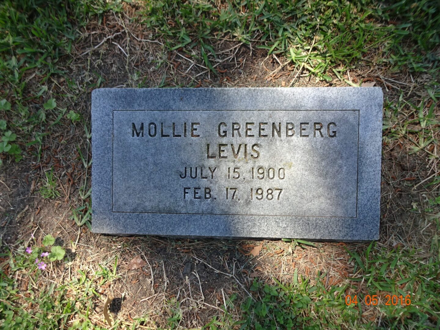 Mollie Greenberg Levis headstone